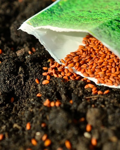 The Ultimate Guide to Testing Electrical Conductivity of Soil Blog