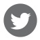 Twitter Icon